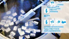 改善精子质量吃什么